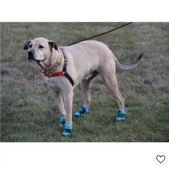 Healers Urban Walker Dog Boots S/M - Picture 8 of 9